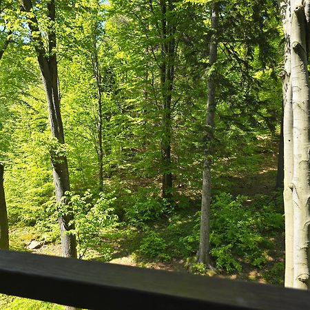 Apartament Z Pieknym Widokiem Na Las Szklarska Poręba Kültér fotó